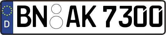 BN-AK7300