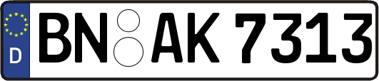 BN-AK7313