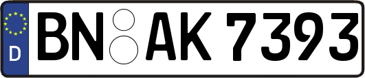 BN-AK7393