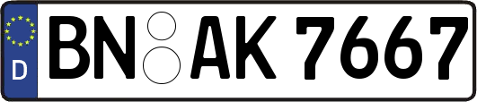 BN-AK7667