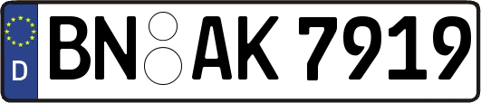 BN-AK7919