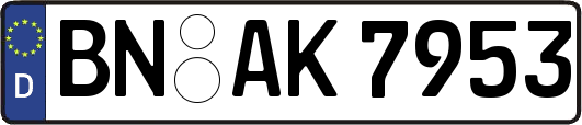 BN-AK7953