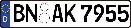 BN-AK7955