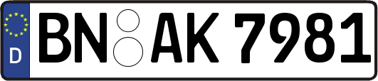 BN-AK7981