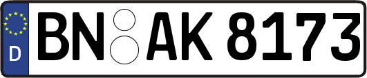BN-AK8173