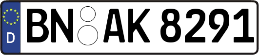 BN-AK8291