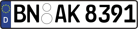 BN-AK8391