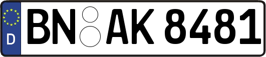 BN-AK8481