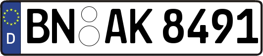 BN-AK8491