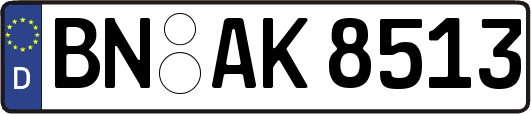 BN-AK8513
