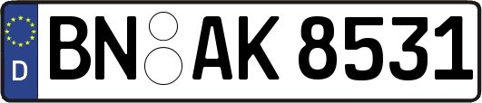 BN-AK8531