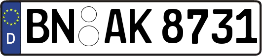 BN-AK8731