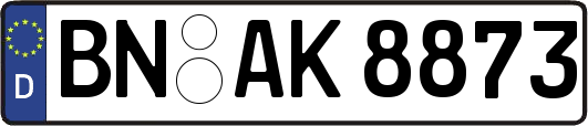 BN-AK8873