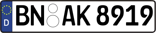 BN-AK8919
