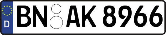 BN-AK8966