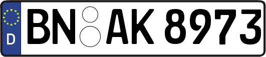 BN-AK8973