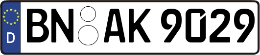 BN-AK9029