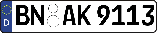 BN-AK9113