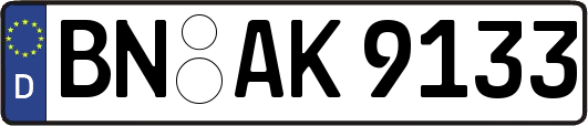 BN-AK9133