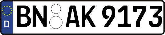 BN-AK9173