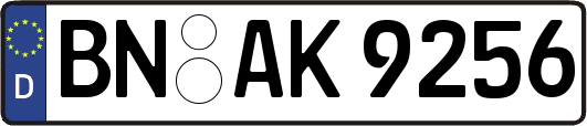 BN-AK9256