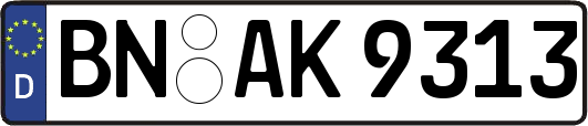 BN-AK9313