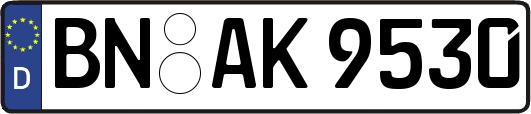 BN-AK9530