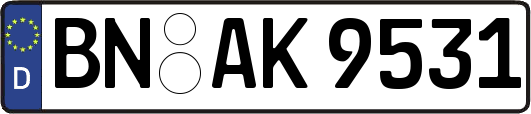 BN-AK9531
