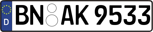 BN-AK9533