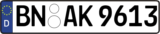 BN-AK9613