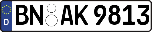 BN-AK9813