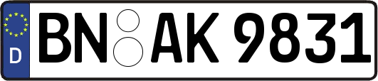 BN-AK9831