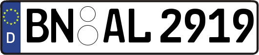 BN-AL2919