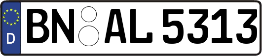 BN-AL5313