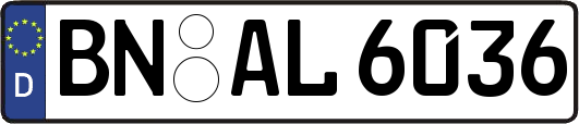 BN-AL6036