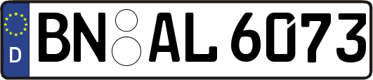 BN-AL6073