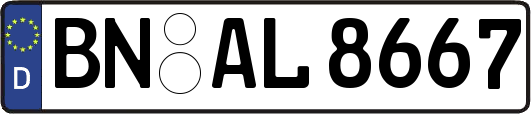BN-AL8667