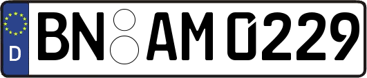 BN-AM0229