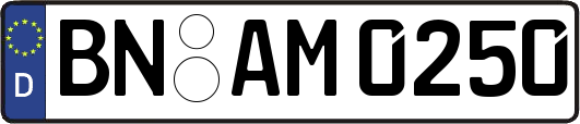 BN-AM0250
