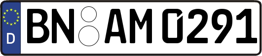 BN-AM0291