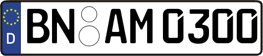 BN-AM0300