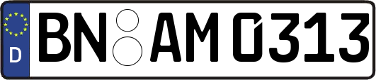 BN-AM0313