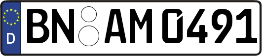 BN-AM0491