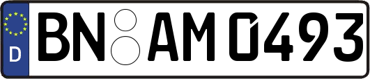 BN-AM0493