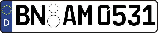 BN-AM0531