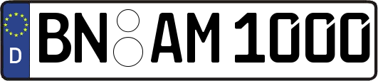 BN-AM1000