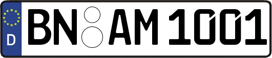 BN-AM1001