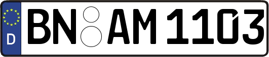 BN-AM1103
