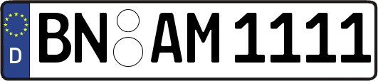BN-AM1111
