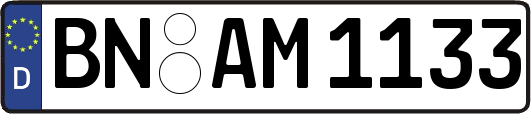 BN-AM1133